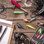 მეთევზე