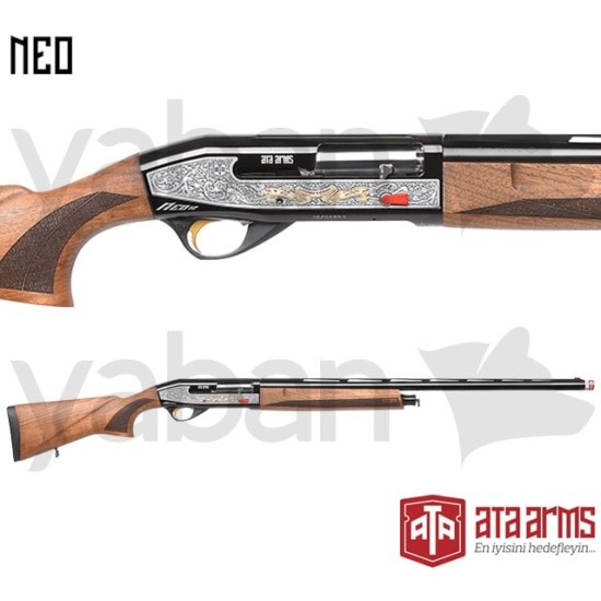 ATA NEO 12 LIMITED 